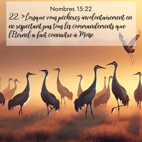 Segond21 Nombres  ; image nature: image avec le verset biblique :»Lorsque vous pécherez involontairement en ne respectant pas tous les commandements que l&#039;Eternel a fait connaître à Moïse, ;  ; 15:22