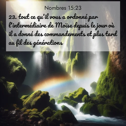 Segond21 Nombres  ; image nature: image avec le verset biblique :tout ce qu&#039;il vous a ordonné par l&#039;intermédiaire de Moïse depuis le jour où il a donné des commandements et plus tard au fil des générations, ;  ; 15:23