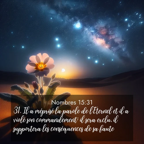 Segond21 Nombres  ; image nature: image avec le verset biblique :Il a méprisé la parole de l&#039;Eternel et il a violé son commandement: il sera exclu, il supportera les conséquences de sa faute.» ;  ; 15:31