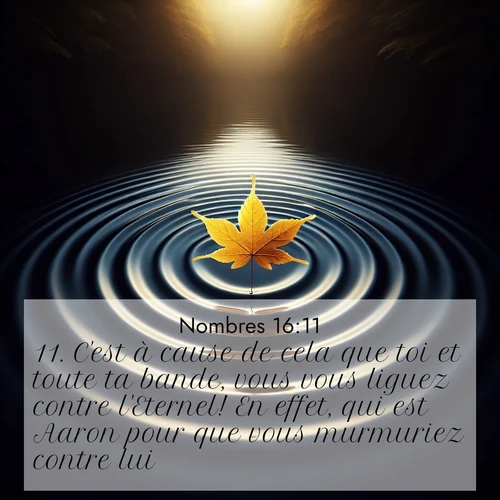 Segond21 Nombres  ; image nature: image avec le verset biblique :C&#039;est à cause de cela que toi et toute ta bande, vous vous liguez contre l&#039;Eternel! En effet, qui est Aaron pour que vous murmuriez contre lui?» ;  ; 16:11