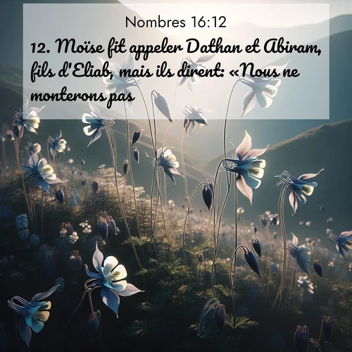 Segond21 Nombres  ; image nature: image avec le verset biblique :Moïse fit appeler Dathan et Abiram, fils d&#039;Eliab, mais ils dirent: «Nous ne monterons pas. ;  ; 16:12