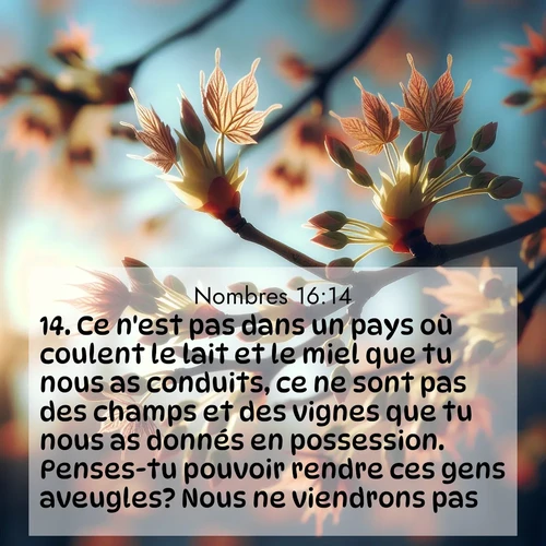 Segond21 Nombres  ; image nature: image avec le verset biblique :Ce n&#039;est pas dans un pays où coulent le lait et le miel que tu nous as conduits, ce ne sont pas des champs et des vignes que tu nous as donnés en possession. Penses-tu pouvoir rendre ces gens aveugles? Nous ne viendrons pas.» ;  ; 16:14