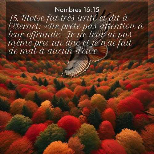 Segond21 Nombres  ; image nature: image avec le verset biblique :Moïse fut très irrité et dit à l&#039;Eternel: «Ne prête pas attention à leur offrande. Je ne leur ai pas même pris un âne et je n&#039;ai fait de mal à aucun d&#039;eux.» ;  ; 16:15