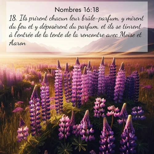 Segond21 Nombres  ; image nature: image avec le verset biblique :Ils prirent chacun leur brûle-parfum, y mirent du feu et y déposèrent du parfum, et ils se tinrent à l&#039;entrée de la tente de la rencontre avec Moïse et Aaron. ;  ; 16:18