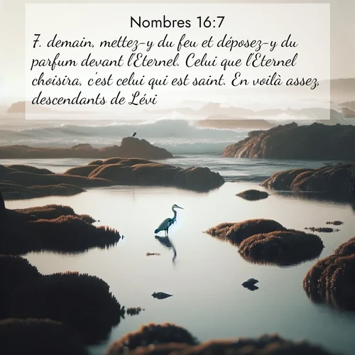 Segond21 Nombres  ; image nature: image avec le verset biblique :demain, mettez-y du feu et déposez-y du parfum devant l&#039;Eternel. Celui que l&#039;Eternel choisira, c&#039;est celui qui est saint. En voilà assez, descendants de Lévi!» ;  ; 16:7