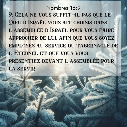 Segond21 Nombres  ; image nature: image avec le verset biblique :Cela ne vous suffit-il pas que le Dieu d&#039;Israël vous ait choisis dans l&#039;assemblée d&#039;Israël pour vous faire approcher de lui, afin que vous soyez employés au service du tabernacle de l&#039;Eternel et que vous vous présentiez devant l&#039;assemblée pour la servir? ;  ; 16:9