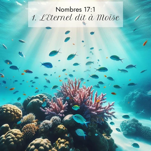 Segond21 Nombres  ; image nature: image avec le verset biblique :L&#039;Eternel dit à Moïse: ;  ; 17:1