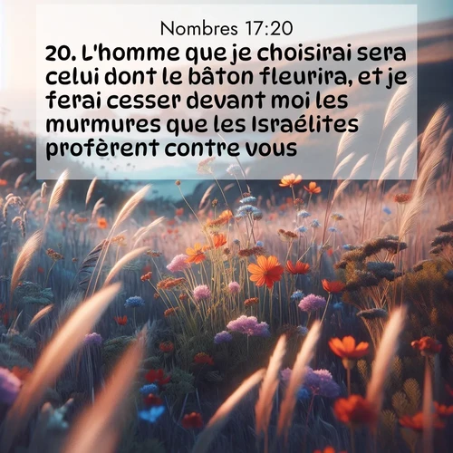 Segond21 Nombres  ; image nature: image avec le verset biblique :L&#039;homme que je choisirai sera celui dont le bâton fleurira, et je ferai cesser devant moi les murmures que les Israélites profèrent contre vous.» ;  ; 17:20