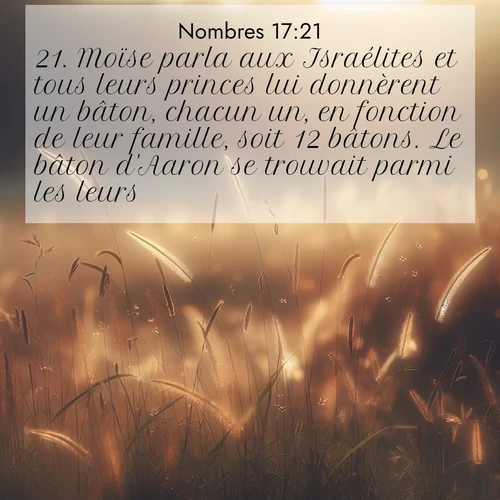 Segond21 Nombres  ; image nature: image avec le verset biblique :Moïse parla aux Israélites et tous leurs princes lui donnèrent un bâton, chacun un, en fonction de leur famille, soit 12 bâtons. Le bâton d&#039;Aaron se trouvait parmi les leurs. ;  ; 17:21
