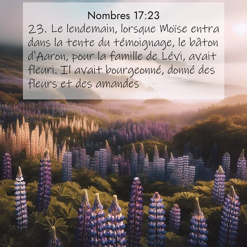 Segond21 Nombres  ; image nature: image avec le verset biblique :Le lendemain, lorsque Moïse entra dans la tente du témoignage, le bâton d&#039;Aaron, pour la famille de Lévi, avait fleuri. Il avait bourgeonné, donné des fleurs et des amandes. ;  ; 17:23