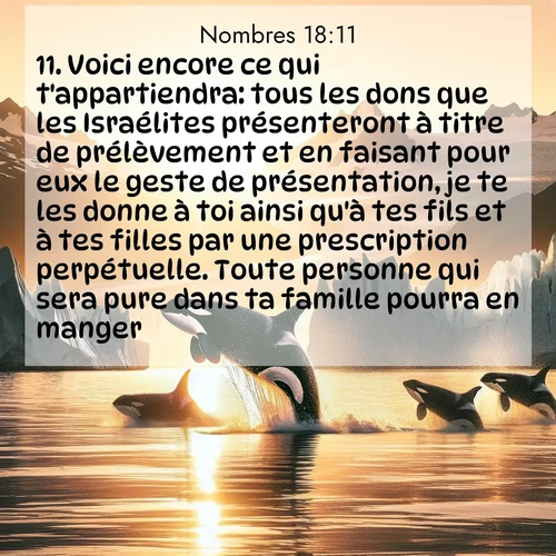 Segond21 Nombres  ; image nature: image avec le verset biblique :Voici encore ce qui t&#039;appartiendra: tous les dons que les Israélites présenteront à titre de prélèvement et en faisant pour eux le geste de présentation, je te les donne à toi ainsi qu&#039;à tes fils et à tes filles par une prescription perpétuelle. Toute personne qui sera pure dans ta famille pourra en manger. ;  ; 18:11