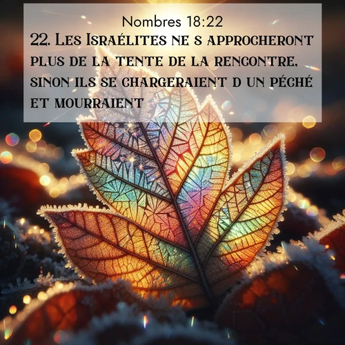 Segond21 Nombres  ; image nature: image avec le verset biblique :Les Israélites ne s&#039;approcheront plus de la tente de la rencontre, sinon ils se chargeraient d&#039;un péché et mourraient. ;  ; 18:22