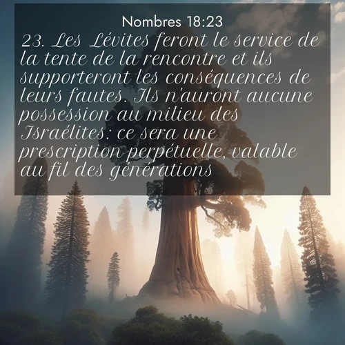 Segond21 Nombres  ; image nature: image avec le verset biblique :Les Lévites feront le service de la tente de la rencontre et ils supporteront les conséquences de leurs fautes. Ils n&#039;auront aucune possession au milieu des Israélites: ce sera une prescription perpétuelle, valable au fil des générations. ;  ; 18:23