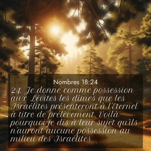 Segond21 Nombres  ; image nature: image avec le verset biblique :Je donne comme possession aux Lévites les dîmes que les Israélites présenteront à l&#039;Eternel à titre de prélèvement. Voilà pourquoi je dis à leur sujet qu&#039;ils n&#039;auront aucune possession au milieu des Israélites.» ;  ; 18:24