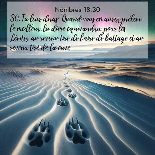 Segond21 Nombres  ; image nature: image avec le verset biblique :Tu leur diras: &#039;Quand vous en aurez prélevé le meilleur, la dîme équivaudra, pour les Lévites, au revenu tiré de l&#039;aire de battage et au revenu tiré de la cuve. ;  ; 18:30