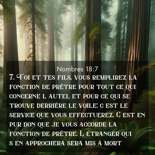 Segond21 Nombres  ; image nature: image avec le verset biblique :Toi et tes fils, vous remplirez la fonction de prêtre pour tout ce qui concerne l&#039;autel et pour ce qui se trouve derrière le voile: c&#039;est le service que vous effectuerez. C&#039;est en pur don que je vous accorde la fonction de prêtre. L&#039;étranger qui s&#039;en approchera sera mis à mort.» ;  ; 18:7