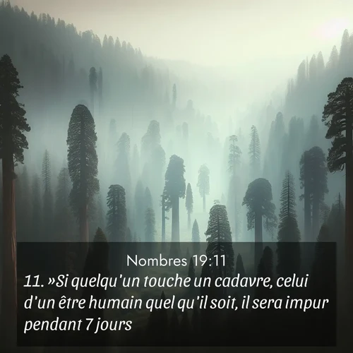 Segond21 Nombres  ; image nature: image avec le verset biblique :»Si quelqu&#039;un touche un cadavre, celui d&#039;un être humain quel qu&#039;il soit, il sera impur pendant 7 jours. ;  ; 19:11