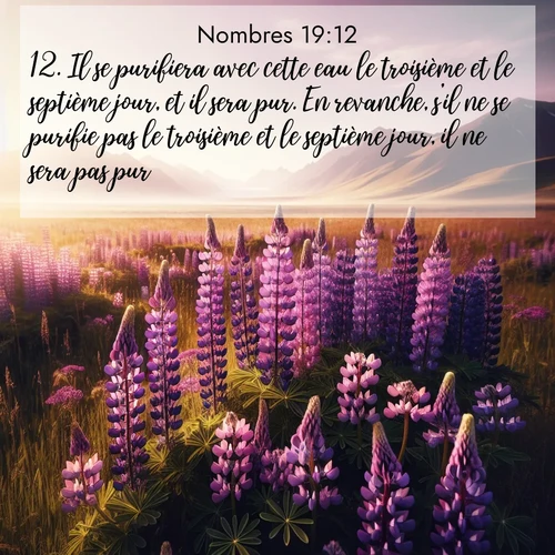 Segond21 Nombres  ; image nature: image avec le verset biblique :Il se purifiera avec cette eau le troisième et le septième jour, et il sera pur. En revanche, s&#039;il ne se purifie pas le troisième et le septième jour, il ne sera pas pur. ;  ; 19:12