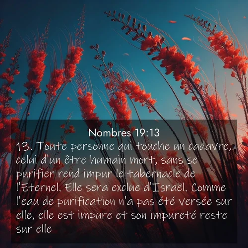 Segond21 Nombres  ; image nature: image avec le verset biblique :Toute personne qui touche un cadavre, celui d&#039;un être humain mort, sans se purifier rend impur le tabernacle de l&#039;Eternel. Elle sera exclue d&#039;Israël. Comme l&#039;eau de purification n&#039;a pas été versée sur elle, elle est impure et son impureté reste sur elle. ;  ; 19:13