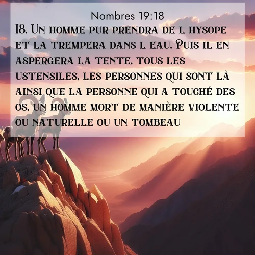 Segond21 Nombres  ; image nature: image avec le verset biblique :Un homme pur prendra de l&#039;hysope et la trempera dans l&#039;eau. Puis il en aspergera la tente, tous les ustensiles, les personnes qui sont là ainsi que la personne qui a touché des os, un homme mort de manière violente ou naturelle ou un tombeau. ;  ; 19:18