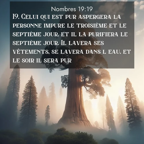 Segond21 Nombres  ; image nature: image avec le verset biblique :Celui qui est pur aspergera la personne impure le troisième et le septième jour, et il la purifiera le septième jour. Il lavera ses vêtements, se lavera dans l&#039;eau, et le soir il sera pur. ;  ; 19:19