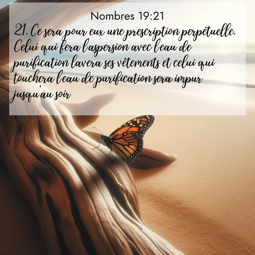 Segond21 Nombres  ; image nature: image avec le verset biblique :Ce sera pour eux une prescription perpétuelle. Celui qui fera l&#039;aspersion avec l&#039;eau de purification lavera ses vêtements et celui qui touchera l&#039;eau de purification sera impur jusqu&#039;au soir. ;  ; 19:21