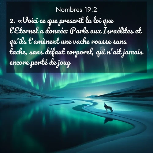 Segond21 Nombres  ; image nature: image avec le verset biblique :«Voici ce que prescrit la loi que l&#039;Eternel a donnée: Parle aux Israélites et qu&#039;ils t&#039;amènent une vache rousse sans tache, sans défaut corporel, qui n&#039;ait jamais encore porté de joug. ;  ; 19:2