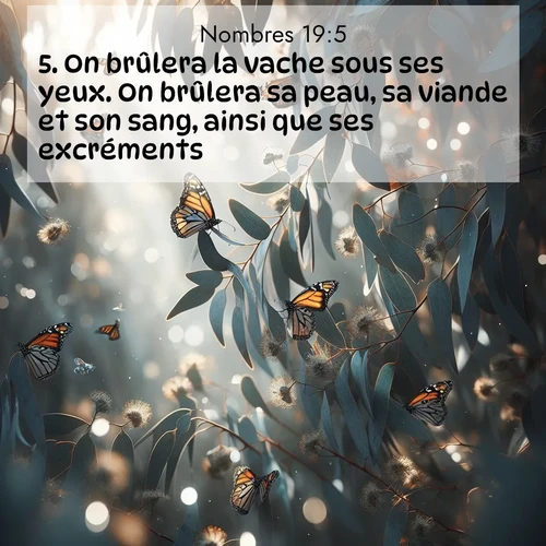 Segond21 Nombres  ; image nature: image avec le verset biblique :On brûlera la vache sous ses yeux. On brûlera sa peau, sa viande et son sang, ainsi que ses excréments. ;  ; 19:5