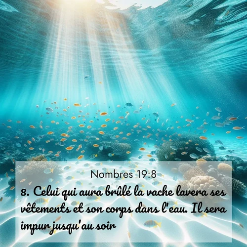 Segond21 Nombres  ; image nature: image avec le verset biblique :Celui qui aura brûlé la vache lavera ses vêtements et son corps dans l&#039;eau. Il sera impur jusqu&#039;au soir. ;  ; 19:8