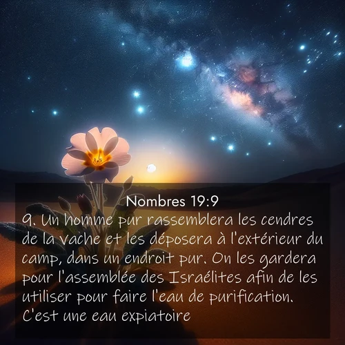 Segond21 Nombres  ; image nature: image avec le verset biblique :Un homme pur rassemblera les cendres de la vache et les déposera à l&#039;extérieur du camp, dans un endroit pur. On les gardera pour l&#039;assemblée des Israélites afin de les utiliser pour faire l&#039;eau de purification. C&#039;est une eau expiatoire. ;  ; 19:9