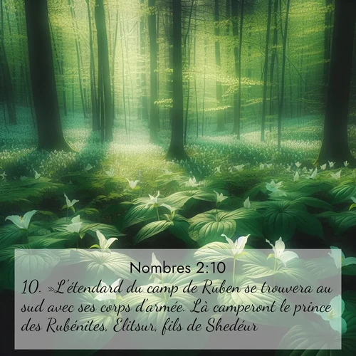 Segond21 Nombres  ; image nature: image avec le verset biblique :»L&#039;étendard du camp de Ruben se trouvera au sud avec ses corps d&#039;armée. Là camperont le prince des Rubénites, Elitsur, fils de Shedéur, ;  ; 2:10