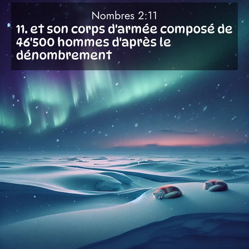 Segond21 Nombres  ; image nature: image avec le verset biblique :et son corps d&#039;armée composé de 46&#039;500 hommes d&#039;après le dénombrement. ;  ; 2:11