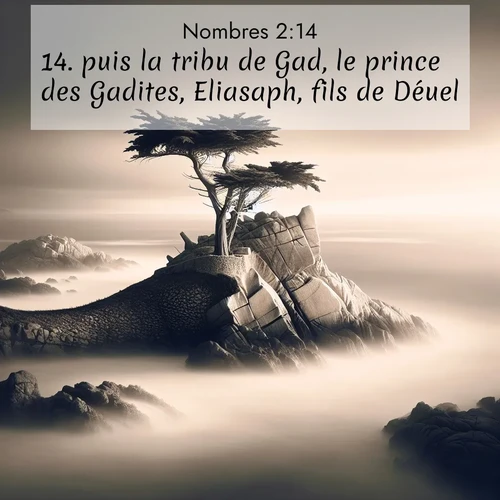 Segond21 Nombres  ; image nature: image avec le verset biblique :puis la tribu de Gad, le prince des Gadites, Eliasaph, fils de Déuel, ;  ; 2:14