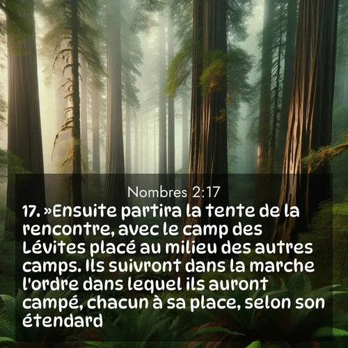 Segond21 Nombres  ; image nature: image avec le verset biblique :»Ensuite partira la tente de la rencontre, avec le camp des Lévites placé au milieu des autres camps. Ils suivront dans la marche l&#039;ordre dans lequel ils auront campé, chacun à sa place, selon son étendard. ;  ; 2:17