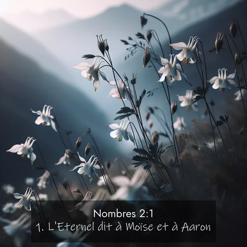 Segond21 Nombres  ; image nature: image avec le verset biblique :L&#039;Eternel dit à Moïse et à Aaron: ;  ; 2:1