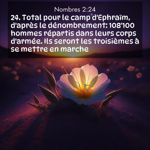 Segond21 Nombres  ; image nature: image avec le verset biblique :Total pour le camp d&#039;Ephraïm, d&#039;après le dénombrement: 108&#039;100 hommes répartis dans leurs corps d&#039;armée. Ils seront les troisièmes à se mettre en marche. ;  ; 2:24