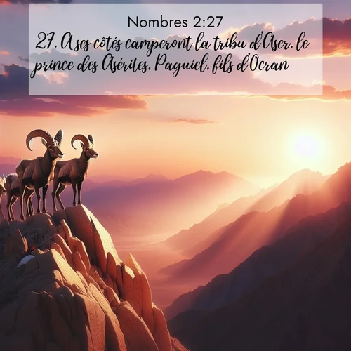 Segond21 Nombres  ; image nature: image avec le verset biblique :A ses côtés camperont la tribu d&#039;Aser, le prince des Asérites, Paguiel, fils d&#039;Ocran, ;  ; 2:27