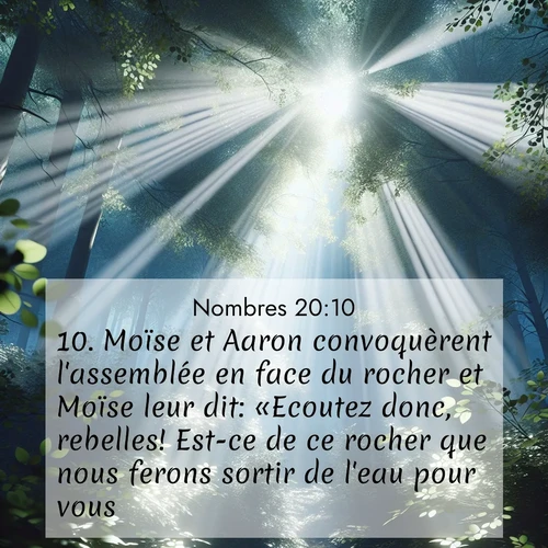 Segond21 Nombres  ; image nature: image avec le verset biblique :Moïse et Aaron convoquèrent l&#039;assemblée en face du rocher et Moïse leur dit: «Ecoutez donc, rebelles! Est-ce de ce rocher que nous ferons sortir de l&#039;eau pour vous?» ;  ; 20:10
