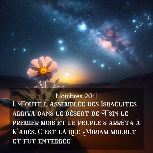 Segond21 Nombres  ; image nature: image avec le verset biblique :Toute l&#039;assemblée des Israélites arriva dans le désert de Tsin le premier mois et le peuple s&#039;arrêta à Kadès. C&#039;est là que Miriam mourut et fut enterrée. ;  ; 20:1