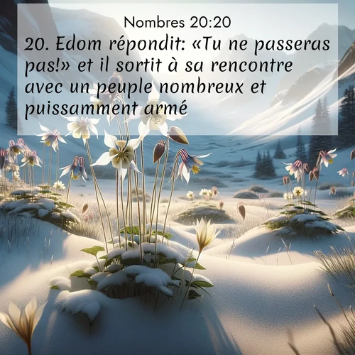 Segond21 Nombres  ; image nature: image avec le verset biblique :Edom répondit: «Tu ne passeras pas!» et il sortit à sa rencontre avec un peuple nombreux et puissamment armé. ;  ; 20:20