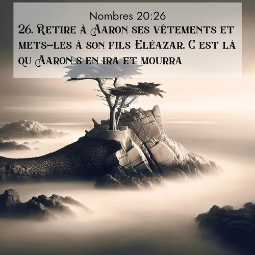Segond21 Nombres  ; image nature: image avec le verset biblique :Retire à Aaron ses vêtements et mets-les à son fils Eléazar. C&#039;est là qu&#039;Aaron s&#039;en ira et mourra.» ;  ; 20:26