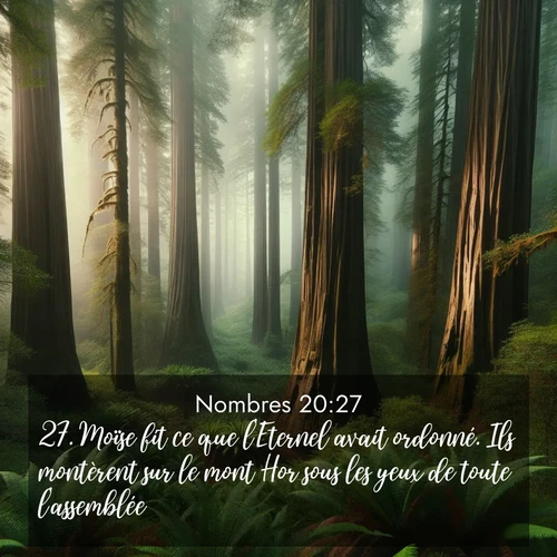 Segond21 Nombres  ; image nature: image avec le verset biblique :Moïse fit ce que l&#039;Eternel avait ordonné. Ils montèrent sur le mont Hor sous les yeux de toute l&#039;assemblée. ;  ; 20:27