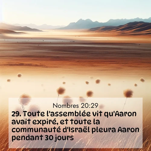 Segond21 Nombres  ; image nature: image avec le verset biblique :Toute l&#039;assemblée vit qu&#039;Aaron avait expiré, et toute la communauté d&#039;Israël pleura Aaron pendant 30 jours. ;  ; 20:29