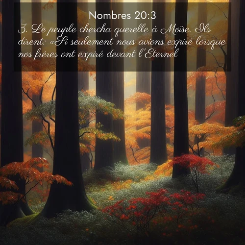 Segond21 Nombres  ; image nature: image avec le verset biblique :Le peuple chercha querelle à Moïse. Ils dirent: «Si seulement nous avions expiré lorsque nos frères ont expiré devant l&#039;Eternel! ;  ; 20:3