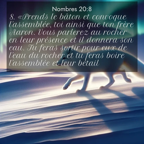 Segond21 Nombres  ; image nature: image avec le verset biblique :«Prends le bâton et convoque l&#039;assemblée, toi ainsi que ton frère Aaron. Vous parlerez au rocher en leur présence et il donnera son eau. Tu feras sortir pour eux de l&#039;eau du rocher et tu feras boire l&#039;assemblée et leur bétail.» ;  ; 20:8