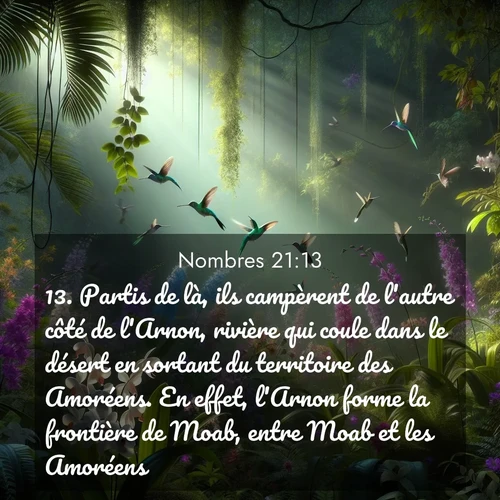 Segond21 Nombres  ; image nature: image avec le verset biblique :Partis de là, ils campèrent de l&#039;autre côté de l&#039;Arnon, rivière qui coule dans le désert en sortant du territoire des Amoréens. En effet, l&#039;Arnon forme la frontière de Moab, entre Moab et les Amoréens. ;  ; 21:13