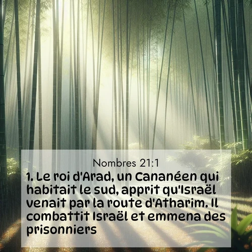 Segond21 Nombres  ; image nature: image avec le verset biblique :Le roi d&#039;Arad, un Cananéen qui habitait le sud, apprit qu&#039;Israël venait par la route d&#039;Atharim. Il combattit Israël et emmena des prisonniers. ;  ; 21:1