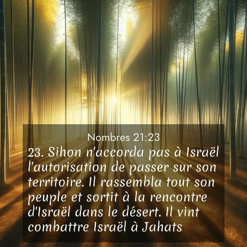 Segond21 Nombres  ; image nature: image avec le verset biblique :Sihon n&#039;accorda pas à Israël l&#039;autorisation de passer sur son territoire. Il rassembla tout son peuple et sortit à la rencontre d&#039;Israël dans le désert. Il vint combattre Israël à Jahats. ;  ; 21:23
