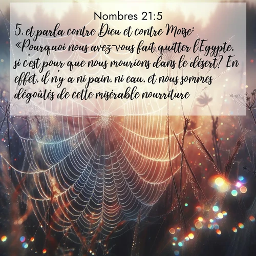 Segond21 Nombres  ; image nature: image avec le verset biblique :et parla contre Dieu et contre Moïse: «Pourquoi nous avez-vous fait quitter l&#039;Egypte, si c&#039;est pour que nous mourions dans le désert? En effet, il n&#039;y a ni pain, ni eau, et nous sommes dégoûtés de cette misérable nourriture.» ;  ; 21:5
