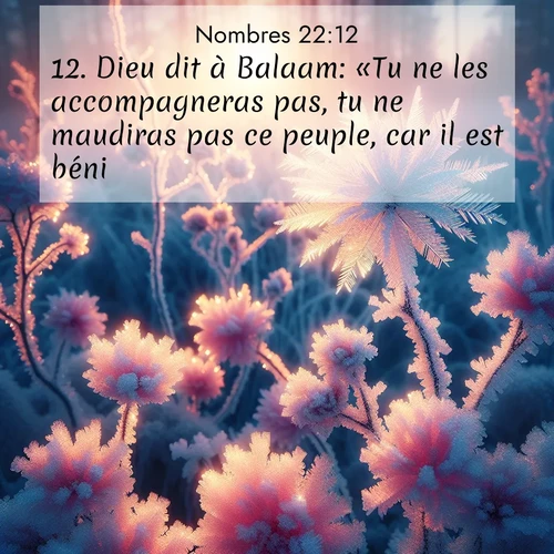 Segond21 Nombres  ; image nature: image avec le verset biblique :Dieu dit à Balaam: «Tu ne les accompagneras pas, tu ne maudiras pas ce peuple, car il est béni.» ;  ; 22:12